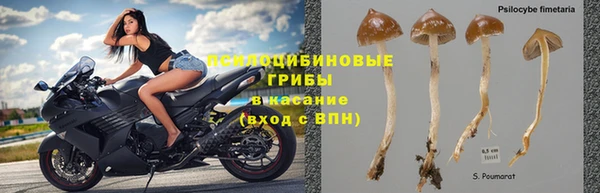 mdpv Абинск