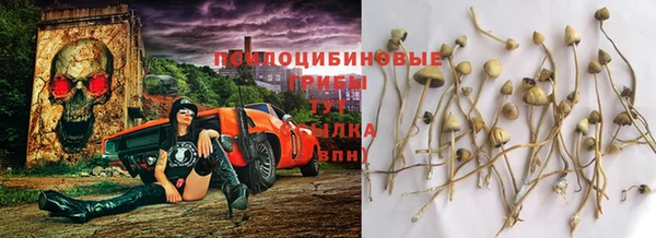 мескалин Абаза