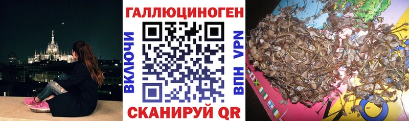 Галлюциногенные грибы Magic Shrooms  blacksprut ТОР  Стрежевой 